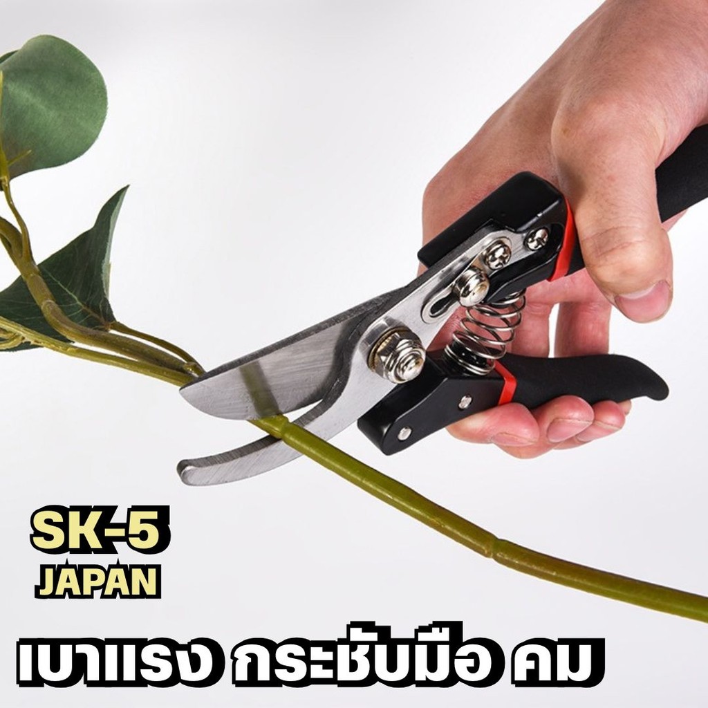 กรรไกรตัดแต่งกิ่งไม้จากญี่ปุ่นขนาด 8 นิ้ว 🔥ซื้อ 2แถม1 🔥 ใบมีดผลิตจากเหล็ก SK-5 Japan มีสปริงช่วยทดแร