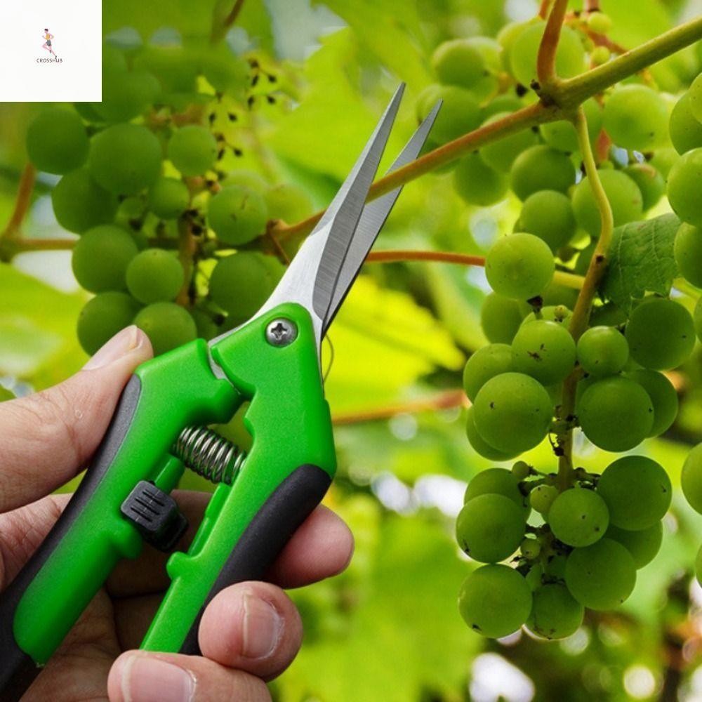 Cross ตัดแต่งกิ่งเครื่องมือเครื่องตัดมือสวน Pruners 8 นิ้วสําหรับบอนไซผลไม้ต้นไม้หยิบวัชพืชอุปกรณ์ทํ