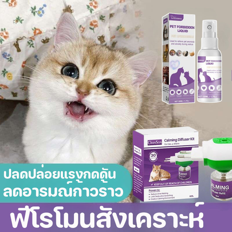 Feliway Diffuser Plug (ชนิดปลั๊กเสียบ​) ฟีโรโมนสังเคราะห์​ ลดอารมณ์ก้าวร้าว 48ml​