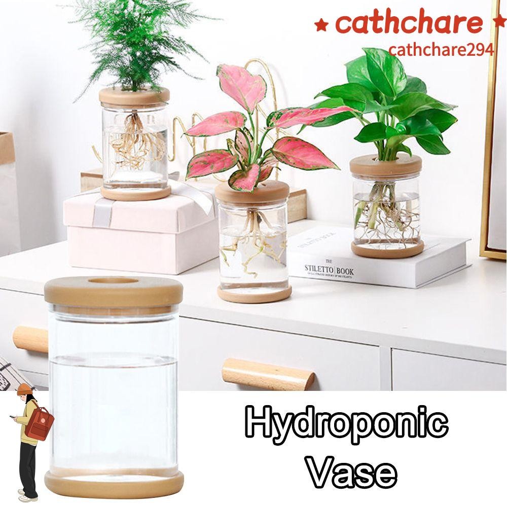 Cathchare294 แจกันไฮโดรโปนิกส์สไตล์เรียบง่ายตกแต่งบ้านเครื่องประดับตั้งโต๊ะพืชกระถางดอกไม้