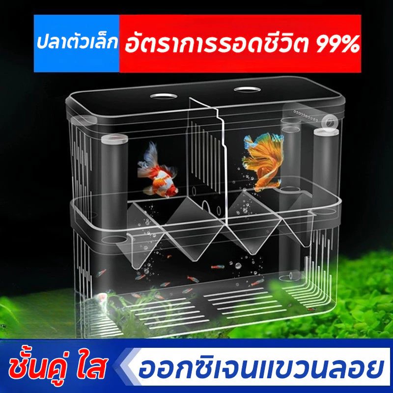 ตู้แยกปลาคลอดลูก กล่องเพาะพันธุ์ปลา 2 ช่อง มี 2 ขนาด