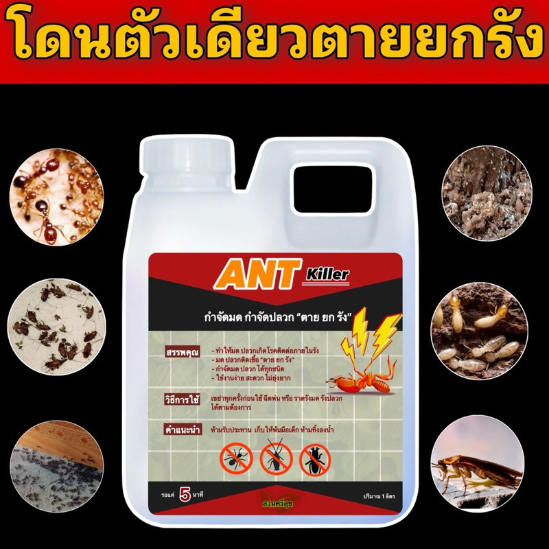 น้ำยากำจัด ปลวก มด แมลงสาบ 1 ลิตร