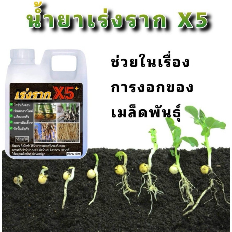 น้ำยาเร่งรากบำรุงพืช 1ลิตร - รูปที่ 5