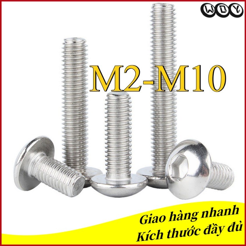สกรูซ็อกเก็ตหกเหลี่ยมหัวแบนขนาดใหญ่ 304 M2-M10 (WD-YL-VN)
