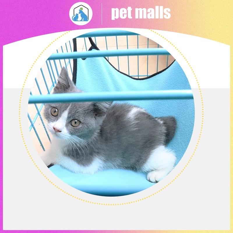 PET MALLS ตาข่ายระบายอากาศแมวเปลญวนความชื้นแมวนอนเปลแขวนแขวนกรงสำหรับกรงแกว่ง