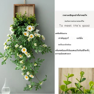 ดอกเดซี่แขวนผนัง ดอกเดซี่ขนาดเล็กสำหรับตกแต่งผนัง ต้นไม้จำลอง แขวนผนังจำลองดอกไม้ ไม้เลื้อยปลอม สำหรับตกแต่งบ้าน
