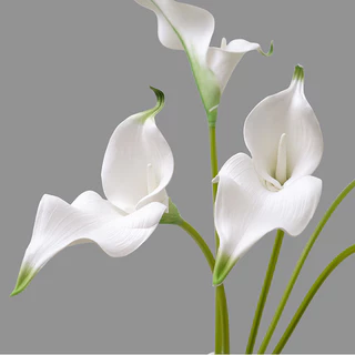ดอกไม้ Eva ประดิษฐ์ Calla Lily ดอกไม้ปลอมดอกไม้ตกแต่งบ้านช่อสไตล์ Ins