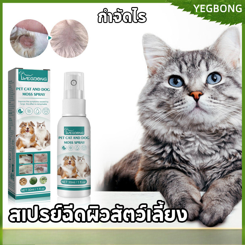 สเปรย์หนังสุนัขและแมว สเปรย์ฉีดผิวสัตว์เลี้ยง เข้าถึงได้ทั้งแมวและสุนัข กําจัดไร ไปที่ผิวหนังคัน 30 มล.