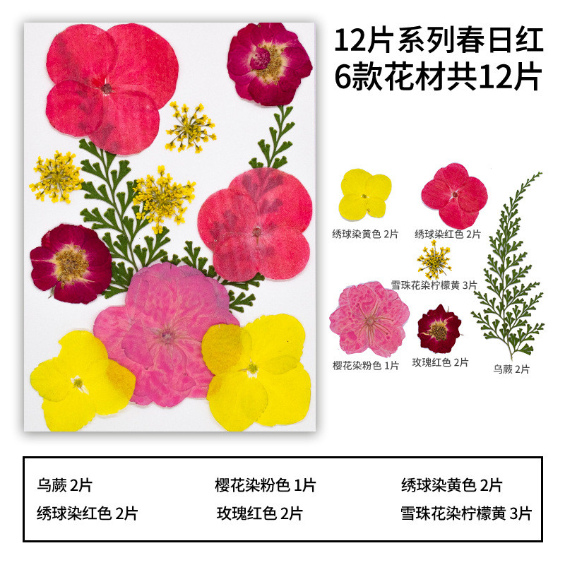 ดอกไม้แห้งวัสดุ DIY dropper วัสดุแพคเกจ DIY ที่คั่นหนังสือ รูปที่ 6