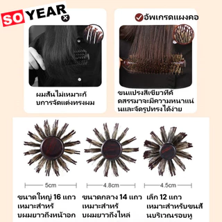 หวีม้วนผมไม้เนื้อแข็ง + หวีไดร์เป่าผมทนความร้อน หวีขนหมูป่าพรีเมียม จัดแต่งทรงผมมืออาชีพ เครื่องมือสไตล์ด่วน