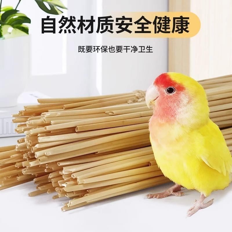 สินค้าใหม่พร้อมสต็อกนกแก้วเคี้ยวของเล่นธรรมชาติข้าวสาลีStalkข้าวสาลีบดฟันบดกรงเล็บบรรเทาเบื่อตัวเองมีความสุขการฝึกอบรมเพื่อลดอายุแทรกหางรัง20250626