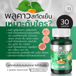 (2แถม2) SN9 พลูคาวสกัดเย็น ภูมิต่ำ ผดผื่น สะเก็ดเงิน โรคผิวหนัง กลากเกลื้อน น้ำเหลืองเสีย พลูคาวสกัด
