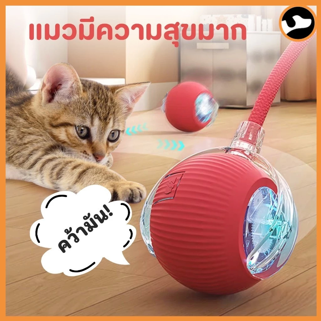 ของเล่นแมวแบบโต้ตอบไฟฟ้าUSB ลูกบอลชาร์จด้วยUSB เซ็นเซอร์ตรวจจับการเคลื่อนไหวแบบ C ของเล่นสัตว์เลี้ยง