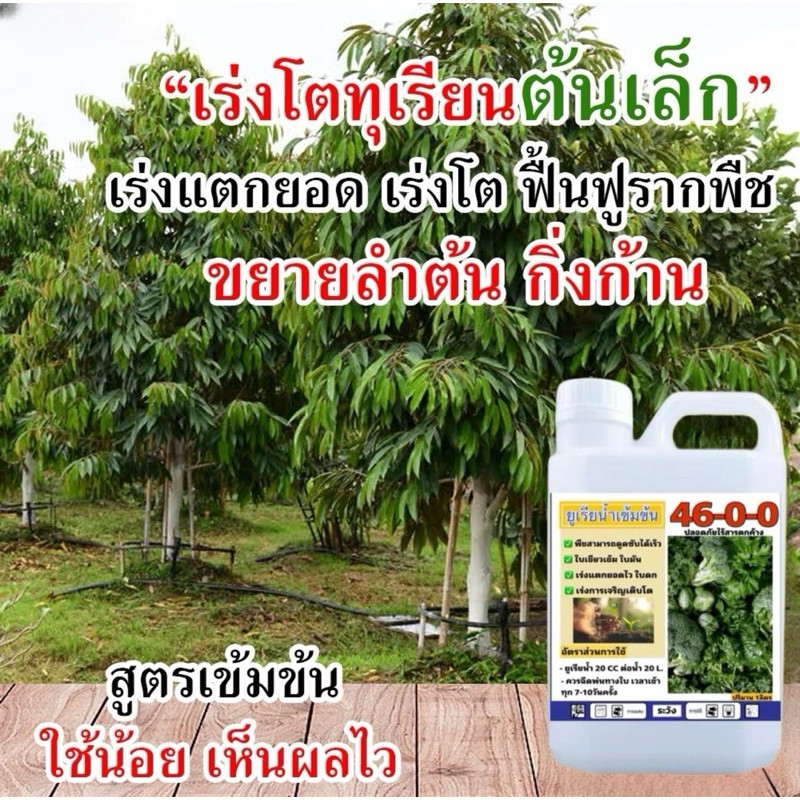 ยูเรียน้ำ 46-0-0 เข้มข้น ขนาด 1 ลิตร รูปที่ 4