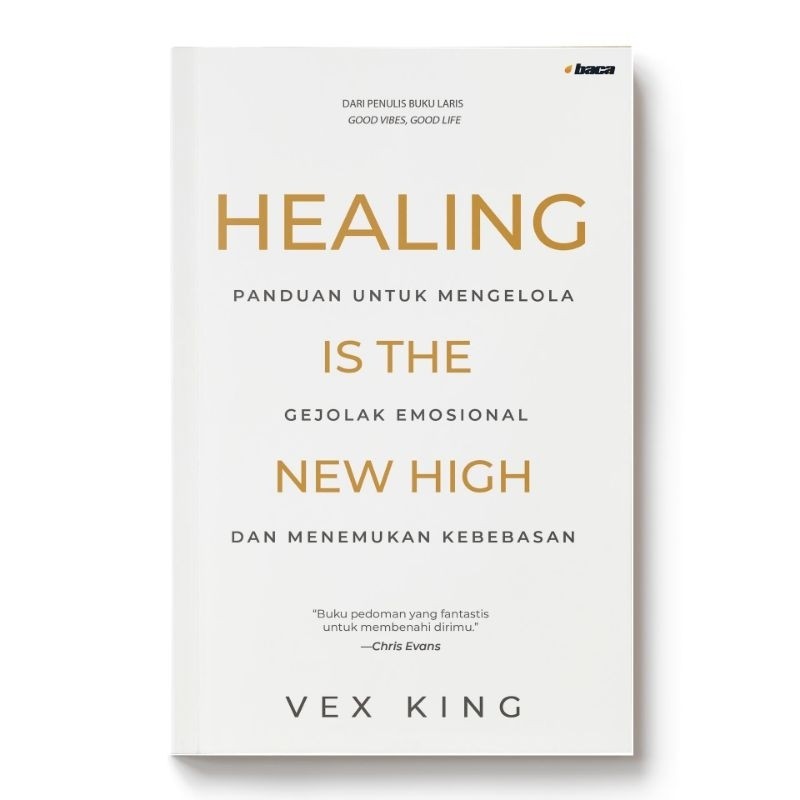 อ่าน: Healing is The New High - Vex King