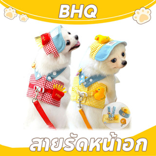 BHQ สายจูง 3pcs สายจูงแมว สายจูงสุนัข อุปกรณ์แมว สุนัขและแมว…