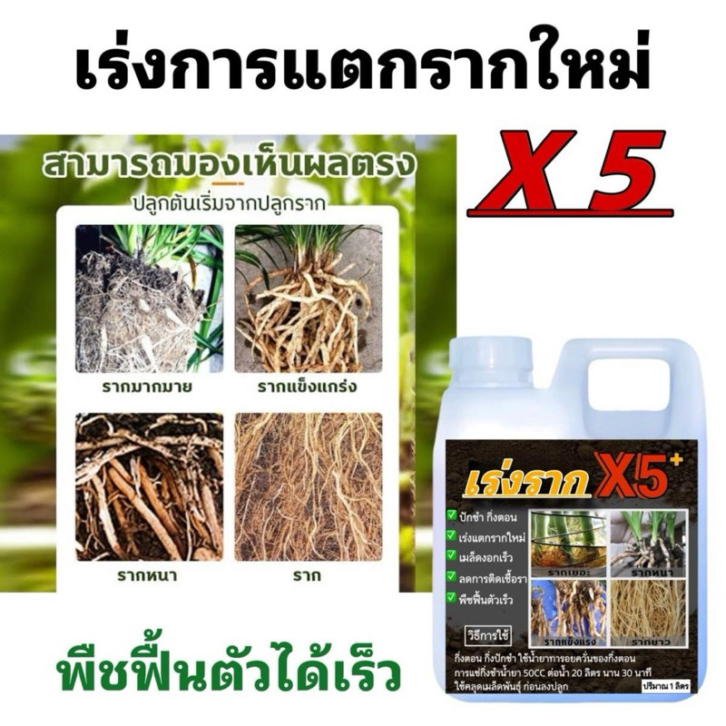 น้ำยาเร่งราก เร่งรากแตกเร็วx5 ขนาด1ลิตร