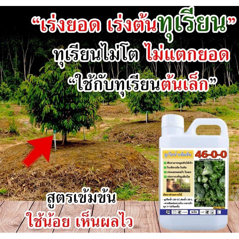 ยูเรียน้ำ 46-0-0 เข้มข้น ขนาด 1 ลิตร รูปที่ 5
