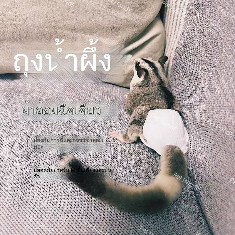 Honey Bag Diapers ผ้าอ้อมแบบใช้แล้วทิ้ง Little Honey Outing Handy Tool Bedwetting Hamster Small Pets Dedicated Squirrel Diaper