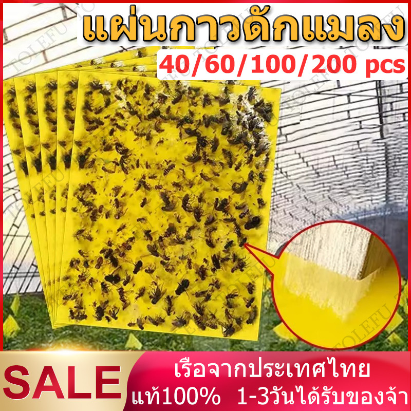 แผ่นกาวดักแมลง (มีกาวในตัว) มีให้เลือกหลายขนาด แพ็คละ 20/40/60/100แผ่น กับดักแมลงกินผัก ดักแมลงศัตรูพืช กาวดักแมลงวันทอง