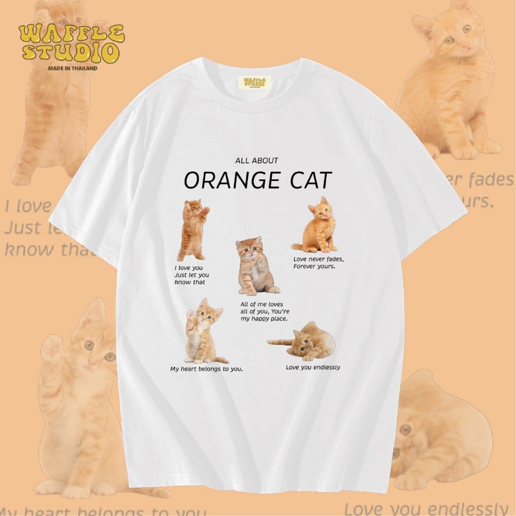 WS0264 เสื้อยืดขนาดใหญ่ Cotton1 WAFFLE STUDIO