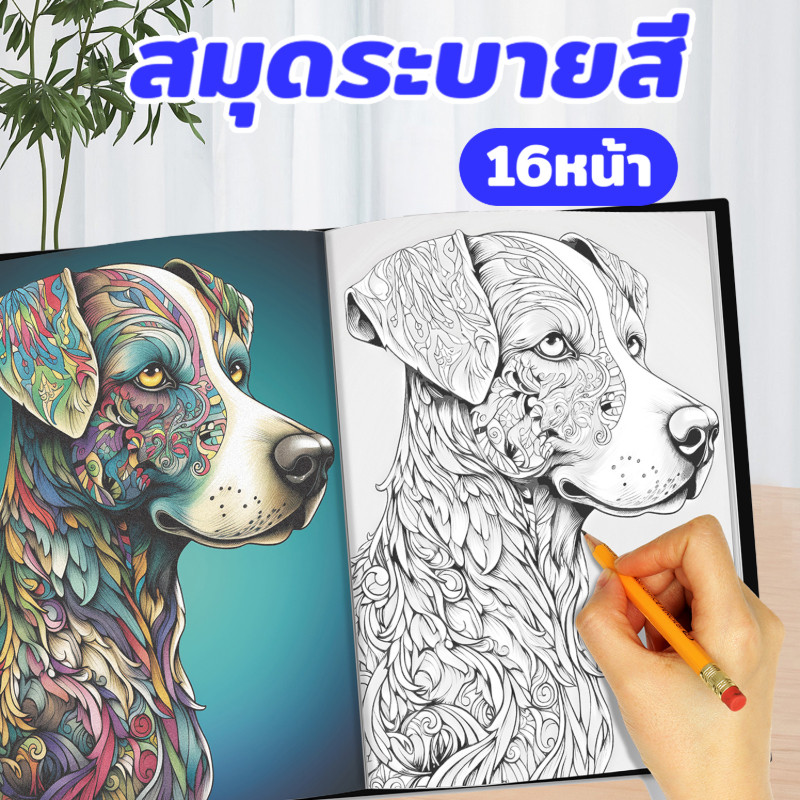 สมุดระบายสีผู้ใหญ่ รูปวาด 12 หมวดหมู่ Adult Coloring book สมุดระบายสีตลาดมินิ สมุดระบายสีตลาด