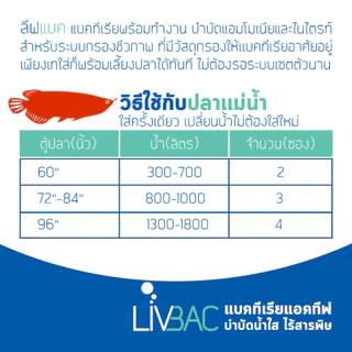 Livbac แบคทีเรียระบบกรอง เซ็ตระบบกรองชีวภาพ ใส่ครั้งเดียว 2 ซอง