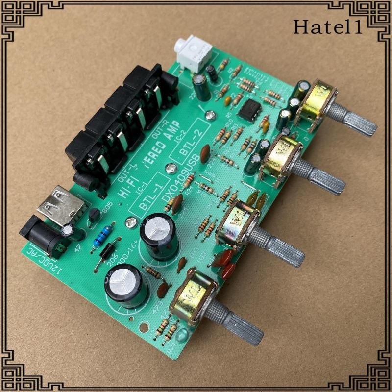 [Hatel] Dx0409 100W Channel Digital Power Audio Stereo Amplifier Board DC 12V