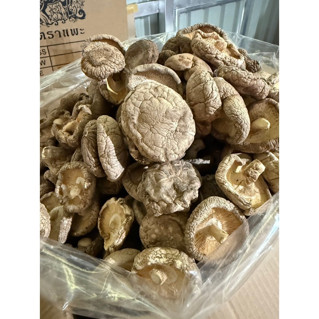 เห็ดหอมแห้ง A5 ขนาด 3 กิโลกรัม ดอกสวย เกรดเอ