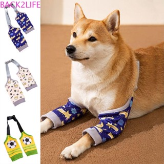 กลับ2ชีวิต สัตว์เลี้ยงการกู้คืนแขน,การ์ตูนฟุตบอล/ดาวลายสุนัข…