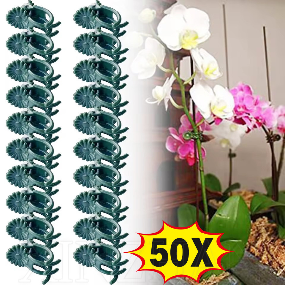 50ชิ้นกล้วยไม้พืชสวนรูปแก้ไขคลิป-กระถางต้นไม้การเจริญเติบโตกิ่งไม้ที่งดงามที่หนีบ-ห้ากรงเล็บดอกไม้สาขาสนับสนุนผู้ถือ-สวนเครื่องมือ-พืชสีเขียวเถาจับคลิป