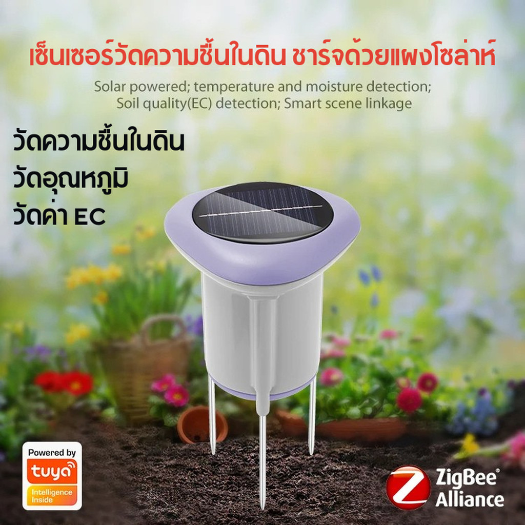 Tuya เซ็นเซอร์วัดความชื้นในดินและอุณหภูมิ Zigbee ชาร์จด้วยแผงโซล่าห์ (STH02B) ใช้สร้างเงื่อนไขอัตโนมัติ Soil Sensor