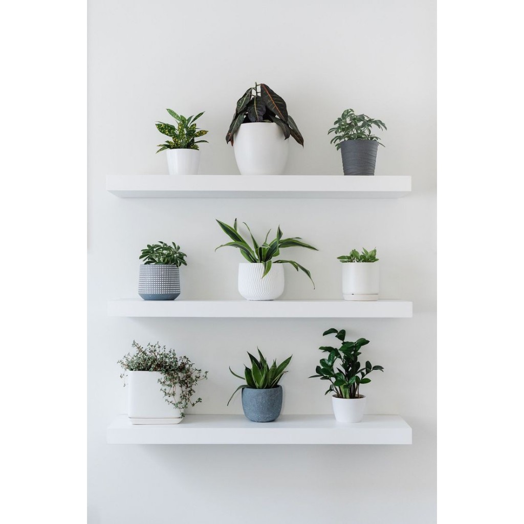 Minimalist WALL SHELVES/LIVING ROOM DECORTATION SHELVES 3 SET