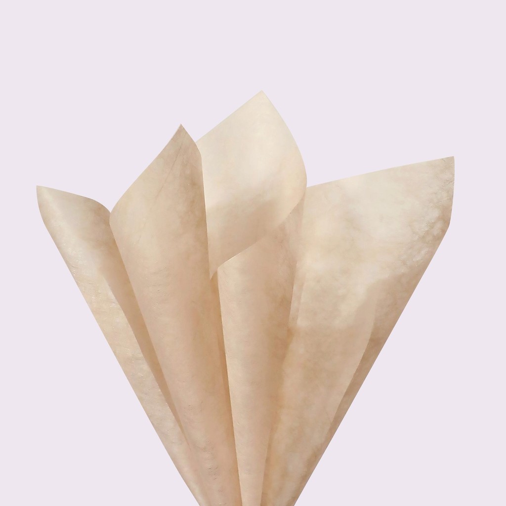 รูปภาพ 8