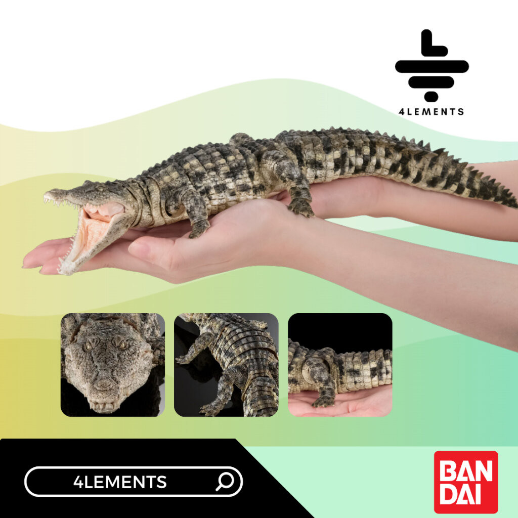 (PRE-ORDER MAY 2025) (GOL) ULTIMATE NILE CROCODILE (40CM) (LIGHT COLOR)
