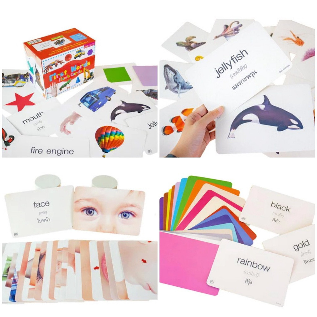 แฟลชการ์ดกล่อง (กล่องน้ำเงิน/แดง/ม่วง/เขียว) First Words FlashCard การ์ดคำศัพท์ บัตรคำศัพท์ - รูปที่ 4