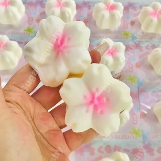 สกุชชี่น้ําตาล ดอกซากุระสีชมพู สกุชชี่ที่เพิ่มขึ้นช้า