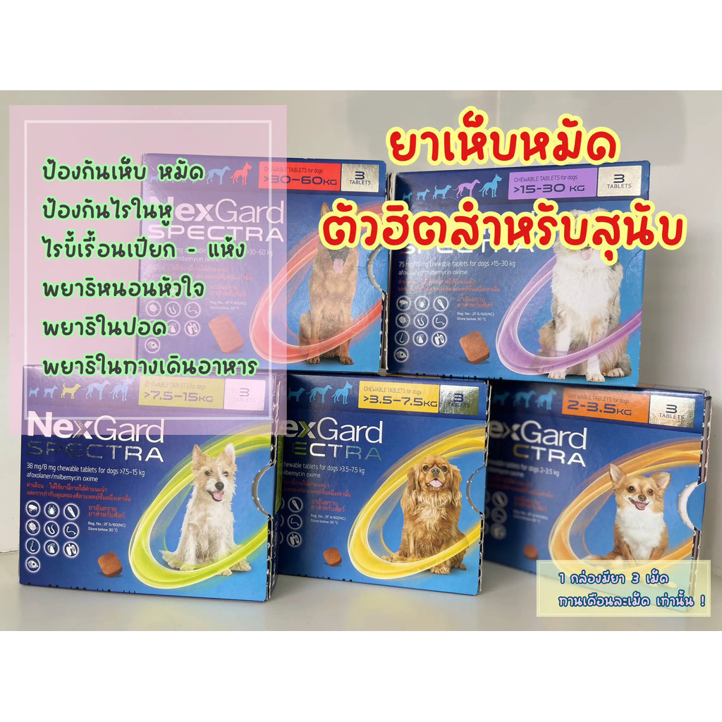 ของเล่นสัตว์เลี้ยง บรรจุภัณฑ์ อาหารสัตว์เลี้ยง ผ้าสุนัข อาหาร สัตว์เลี้ยง อาหารสุนัขสัตว์เลียง วิตามินสัตว์เลียง 01/2026