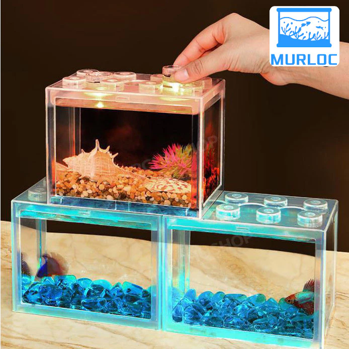 ตู้ปลากัด พร้อมไฟ LED หลายขนาด กะทัดรัด ดูแลง่าย thumbnail 6