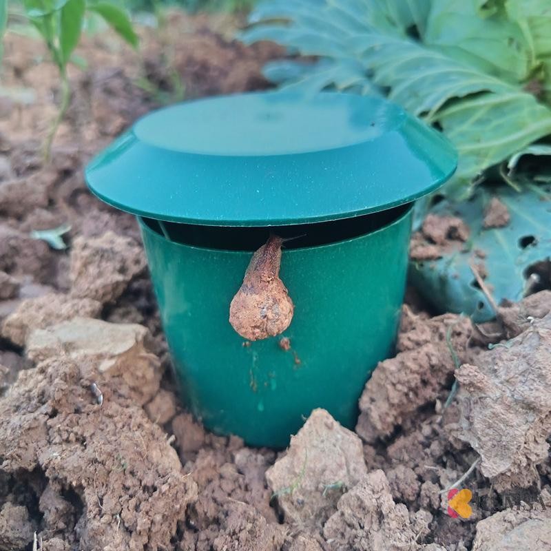 KNMSA] Eco-Friended Cage Slug House Snail Trap Catcher Pests Reject Gintrap เครื่องมือ Pest Repeller