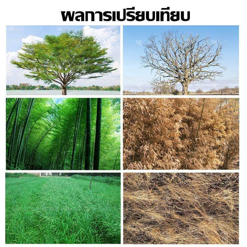 💥ไม่ได้ผลยินดีคืนเงิน💥ยาฆ่าต้นไม้ใหญ เข้มข้นสุด 200ml 1ขวดเท่ากับ20ขวด ยาฆ่าตอต้นไม้ ตรงไปที่ราก รากเน่ารากตาย ยาฆ่าตอไม - รูปที่ 2