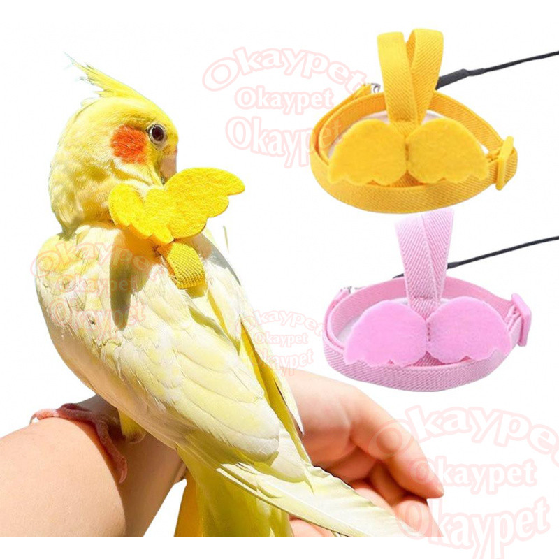 สายจูงนกแก้ว สามารถยืดได้ เชือกจูง สายเชือกฝึกบิน เชือกลากจูงนก ติดปีก