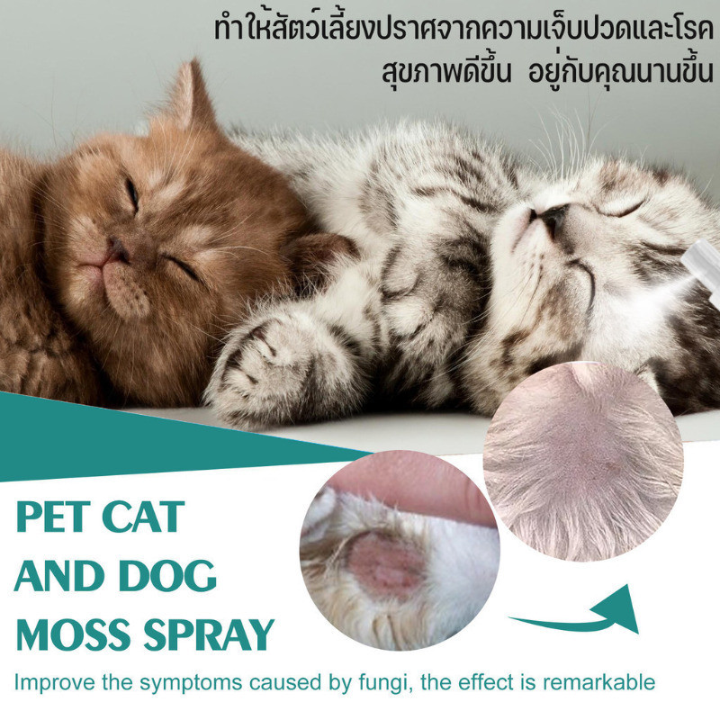 สเปรย์หนังสุนัขและแมว สเปรย์ฉีดผิวสัตว์เลี้ยง เข้าถึงได้ทั้งแมวและสุนัข กําจัดไร ไปที่ผิวหนังคัน 30 มล. - รูปที่ 3