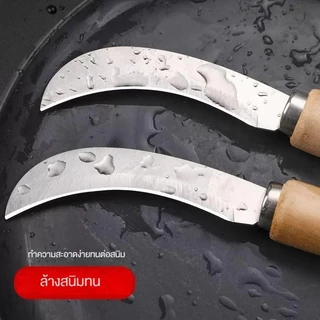 มีดตัดผลไม้ มีดโค้ง มีดตัดกล้วย มีดตัดเครือกล้วย มีดปาดกล้วย มีดปลอกกล้วย สแตนเลส เกรด A มีดหัวงอ มีดกรีดผลไม้