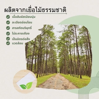 ทิชชู่ yaya ลายหมี หนา 2 ชั้น 1 หิ้ว เท่ากับ 5 ห่อ Tissue เช็ดหน้า(1 หิ้ว 5 ห่อ)
