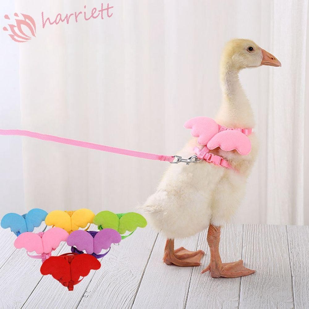 Harriett สายรัดเป็ดน่ารัก 1 ชิ้นเสื้อกั๊กสายรัดหน้าอกตกแต่งสัตว์เลี้ยงโพลีเอสเตอร์ลายปีกสายรัดปีกนางฟ้า