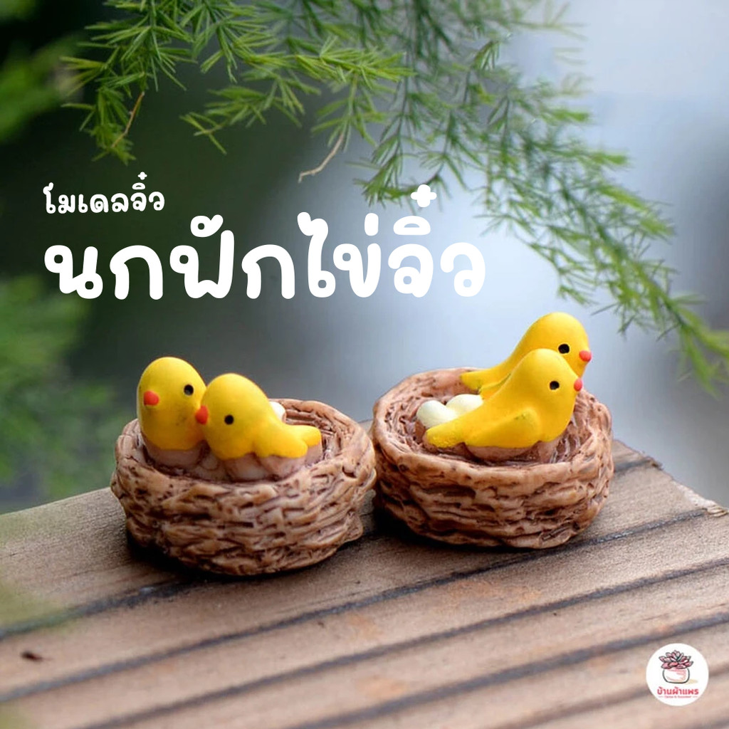 นกฟักไข่จิ๋ว ตุ๊กตาจิ๋ว โมเดลจิ๋ว แต่งสวน ตุ๊กตาแต่งสวนจิ๋ว ตุ๊กตาจัดสวนถาด
