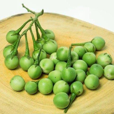 มะเขือพวง เมล็ดพันธุ์ 30-70 เมล็ด มีคู่มือปลูก - รูปที่ 3