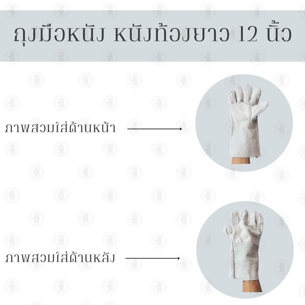 ถุงมือหนังท้อง ยาว 12 นิ้ว รุ่นC01212 ( เเพ็ค 12 คู่ ) ทำมาจากหนังท้องวัวแท้100% ถุงมือช่าง ถุงมือนิรภัย ถุงมือหนัง - รูปที่ 4