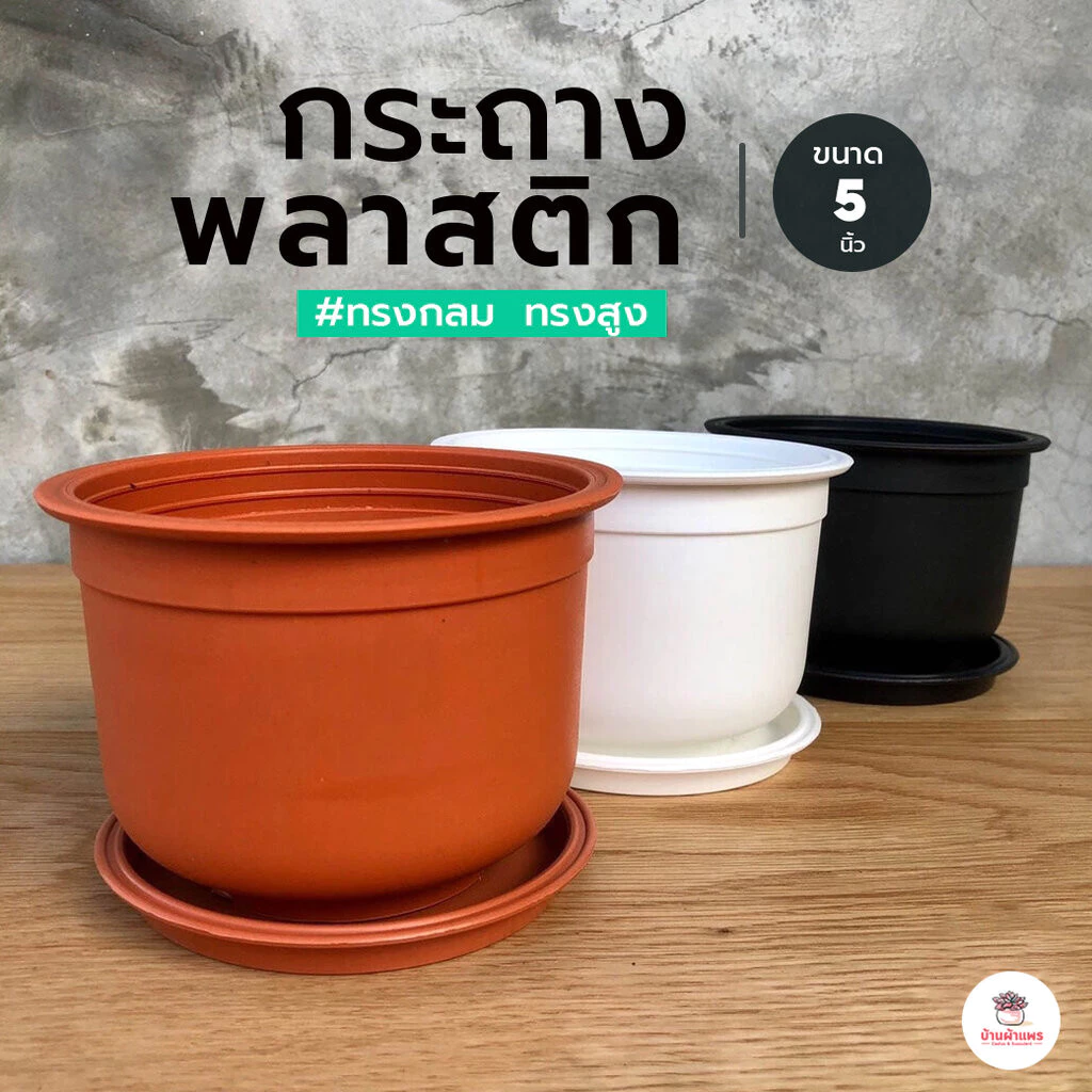 กระถางกลม 5 นิ้ว พร้อมจานรอง กระถางพลาสติก แคคตัส กระบองเพชร ไม้อวบน้ำ Cactus&Succulent